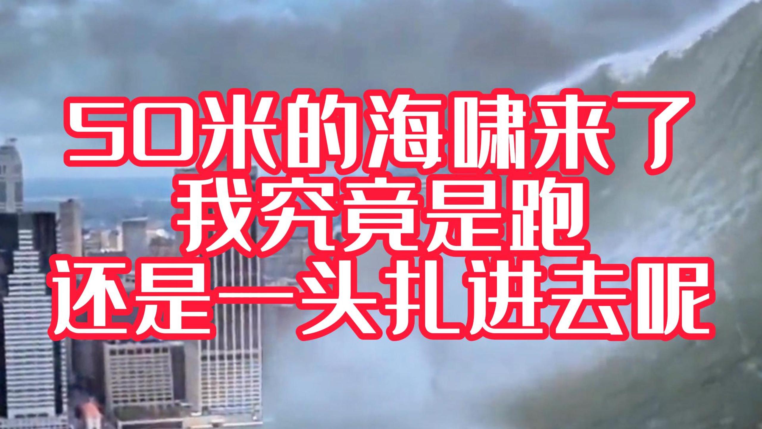 海啸来了~我是跑呢？还是栽进去呢？#科普三维动画